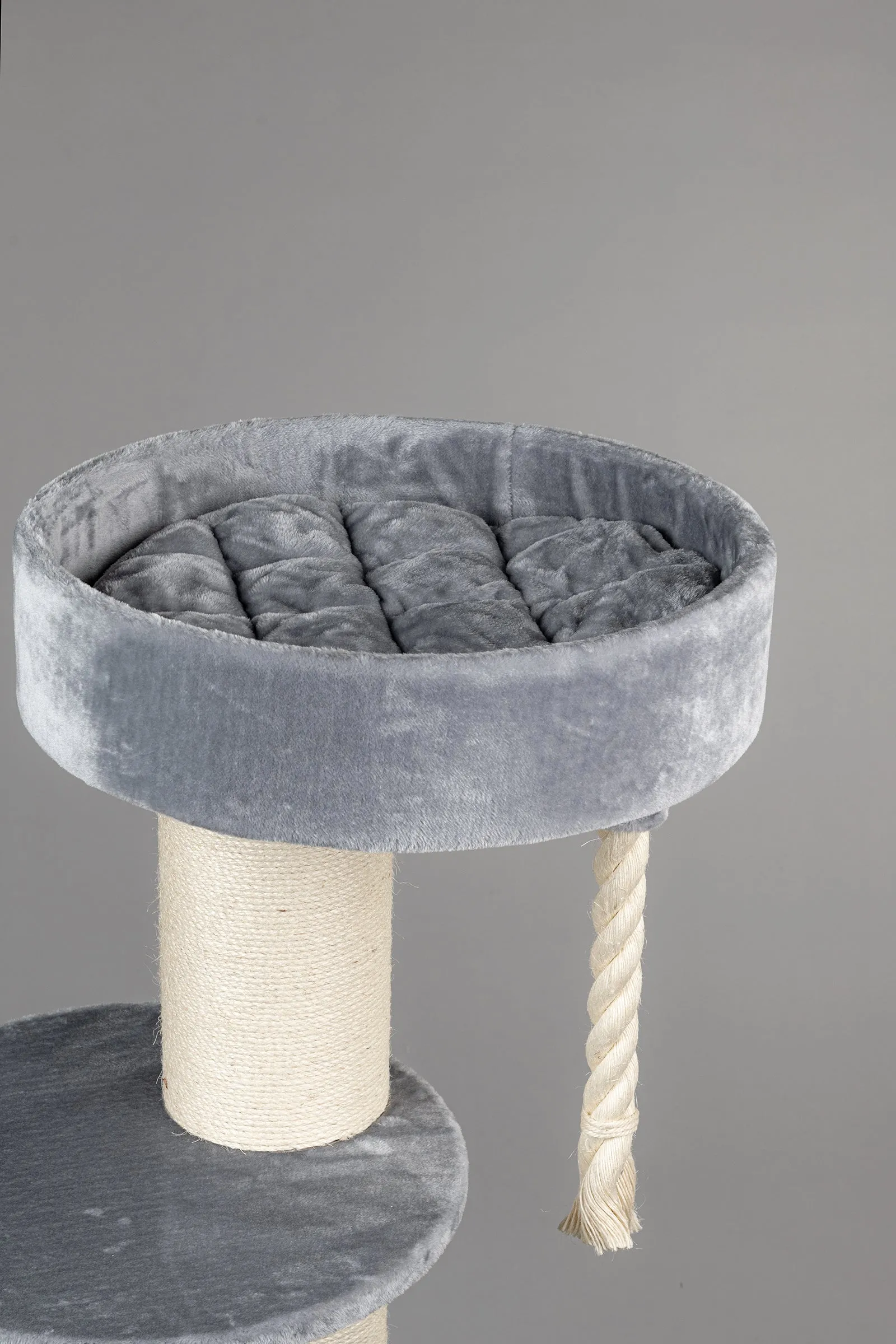Main Coon Sleeper Light Grey